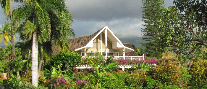 North Shore Maui Listings